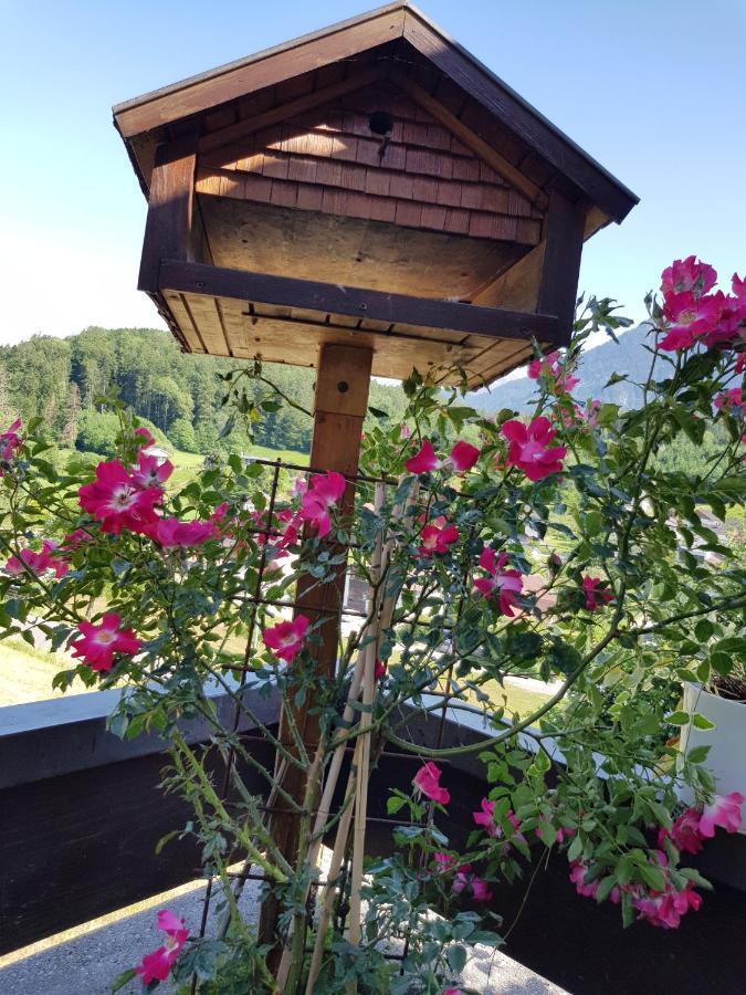 Appartement Dreamlandranch Vorarlberg à Schlins Extérieur photo